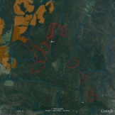 Satellite image of coupes. VicForests' 2006 failed coupe in center of image.